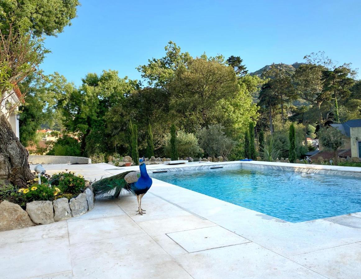 A Capela - A Essencia De Sintra Villa Exterior photo